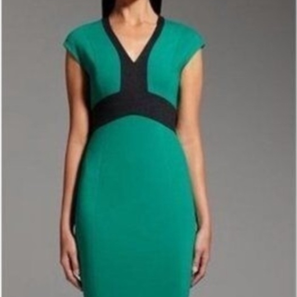 Narciso Rodriguez Green and Black Midi Dress